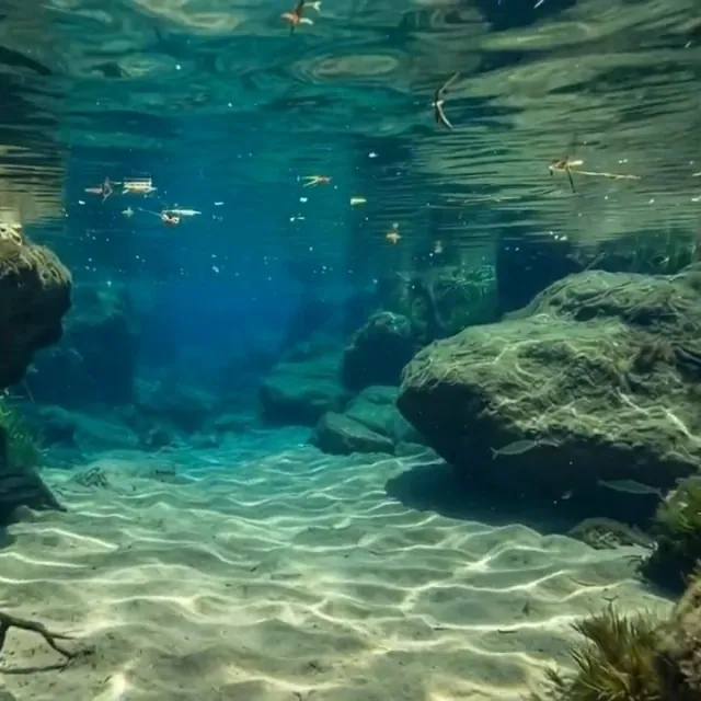 Clear turquoise water running over pale river stones.