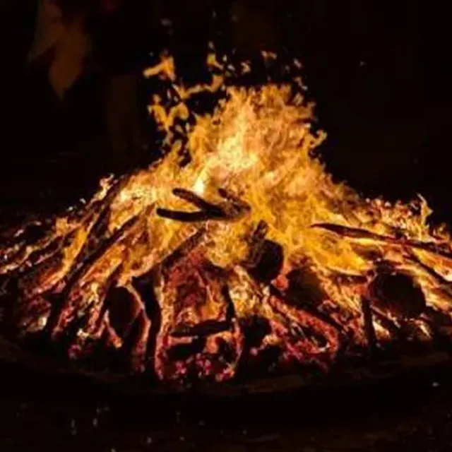 A bonfire burning against the dark, logs stacked and glowing.